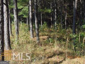 Photo of 84 Firefly Run, Lagrange, GA 30240 (MLS # 10794842)
