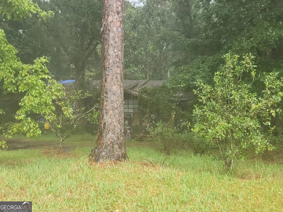 SECTION LAND - Residential