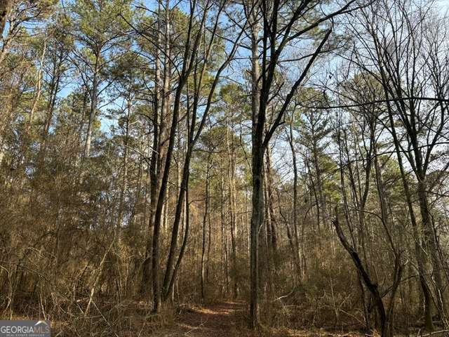 Great building lot of just over 9 acres on Mt. Zion Road. The lot is set up to have a great front yard with hardwoods in the back. Over 300 feet of road frontage on Mt. Zion Road. Conveniently located between Carrollton and Bremen, and just under 6 miles from I-20. There is one adjoining additional tract of land available with road frontage on Pitts Road.