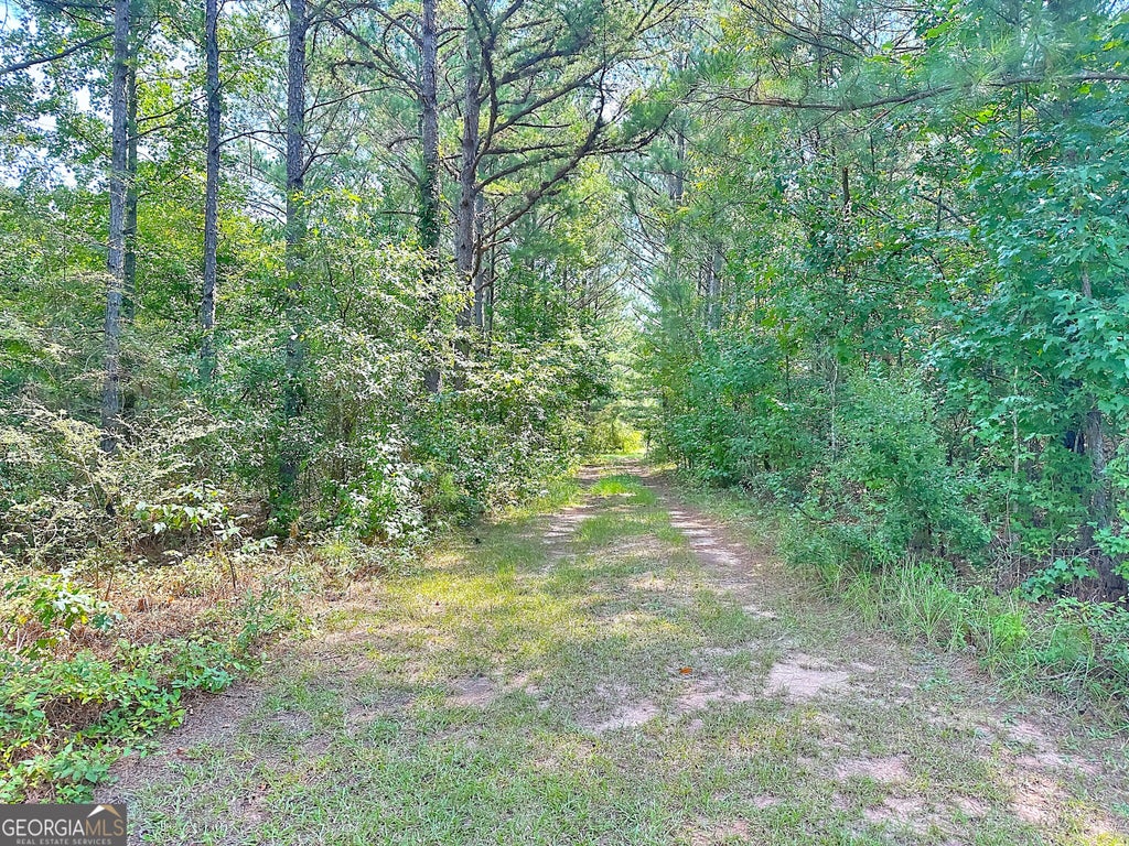 Photo of 493 Jarrell Hogg Road, West Point, GA 31833 (MLS # 10834451)