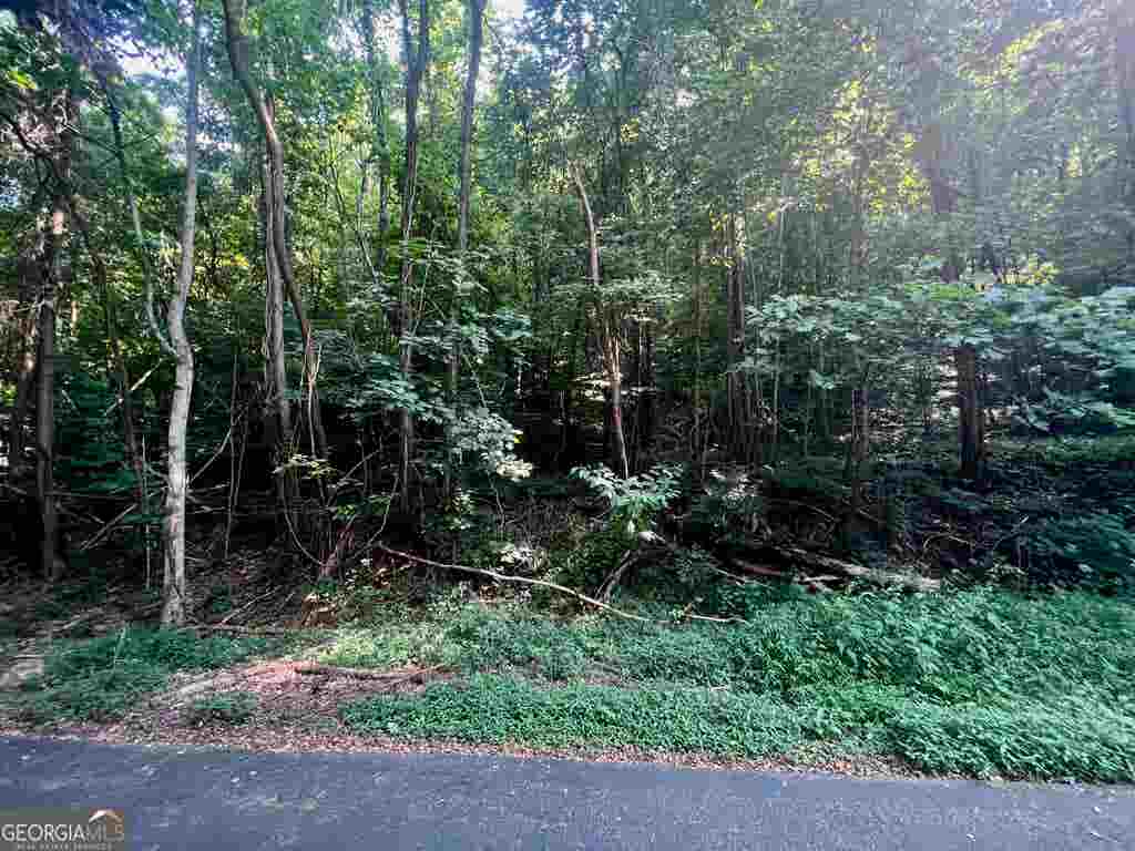 Photo of 13 Chalet Drive, Sautee Nacoochee, GA 30571 (MLS # 10813117)