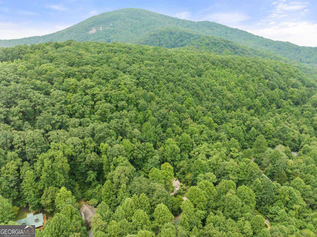 Photo of 13 Chalet Drive, Sautee Nacoochee, GA 30571 (MLS # 10813117)