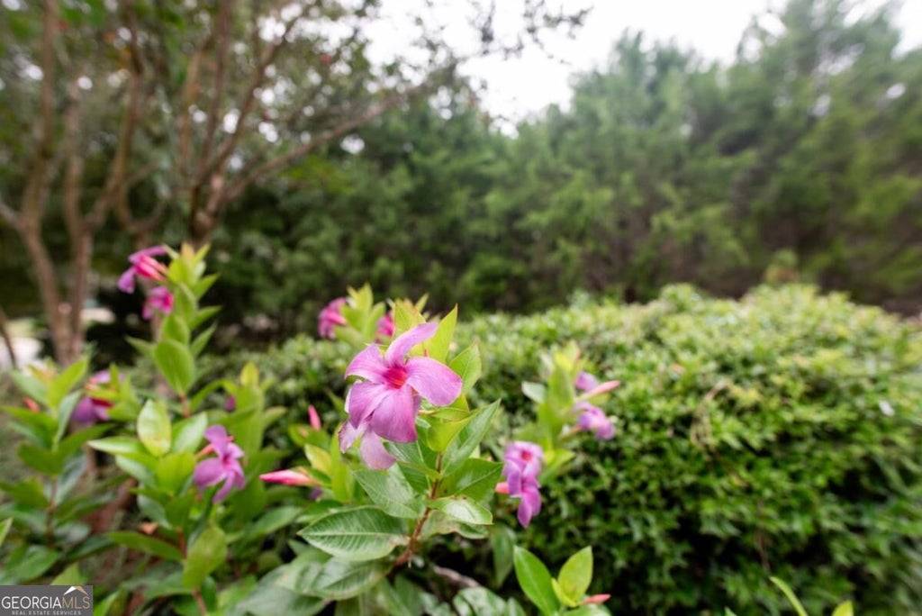 Photo of 2100 Valley Shoals Lane, Bishop, GA 30621 (MLS # 10852267)