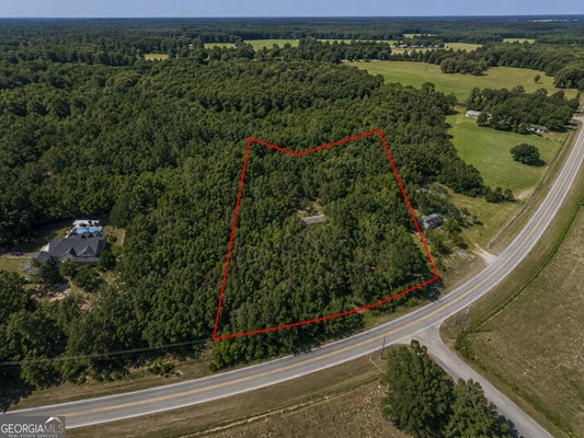 2391 CHALYBEATE RD, MANCHESTER, GA 31816 - Image 3e55565a9fcc4cae15fc82abb13e5e1a/686071180