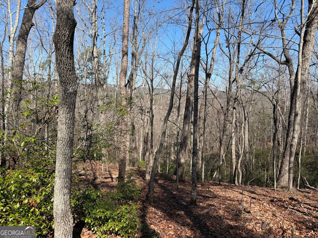 Photo of 0 Tanager Trail, Alto, GA 30510 (MLS # 10700486)