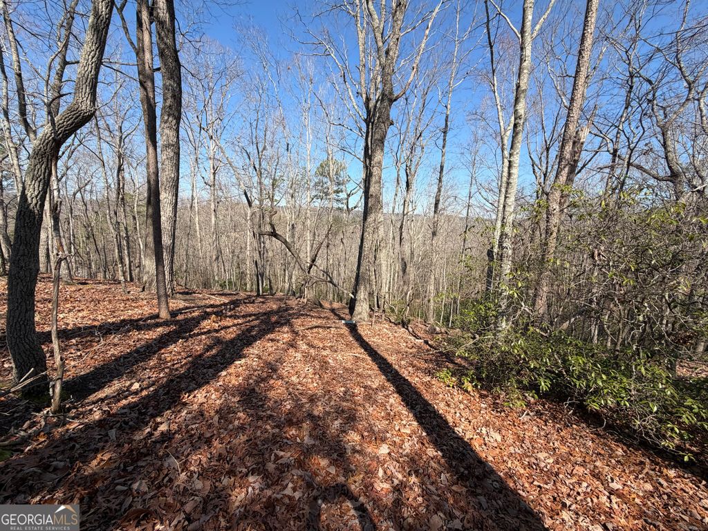 Photo of 0 Tanager Trail, Alto, GA 30510 (MLS # 10700486)