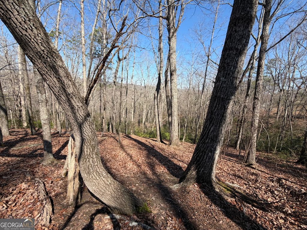 Photo of 0 Tanager Trail, Alto, GA 30510 (MLS # 10700486)