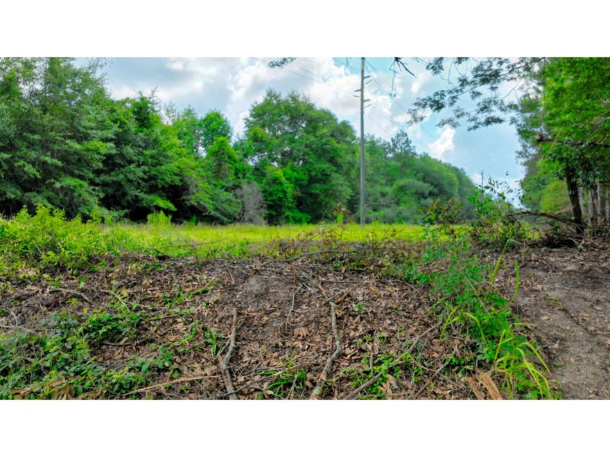 6 acres of Raw Land! Mature Pines and Flat Land! Two Parcels Available for Sale!! Listed Property is Tract 1 on survey pictured. Within an hour to the beach, this property brings an ideal location without the hassle of a busy city! Lyons offers some of the best experiences for anyone to enjoy! Music festivals and the annual Real Squeal BBQ, skate parks, nature trails, batting cages, farmers market its made for the entire family to love! The property is zoned R-1, allows for subdividing of 0.5 acres. No trailers or mobile homes. Manufactured allowed. No HOA. Paved road on Eastside of the property. Electricity is close. City Water and Sewer available with application process online. Statesboro, 50 min. Fort Stewart, 60 min. Savannah, 75 min.