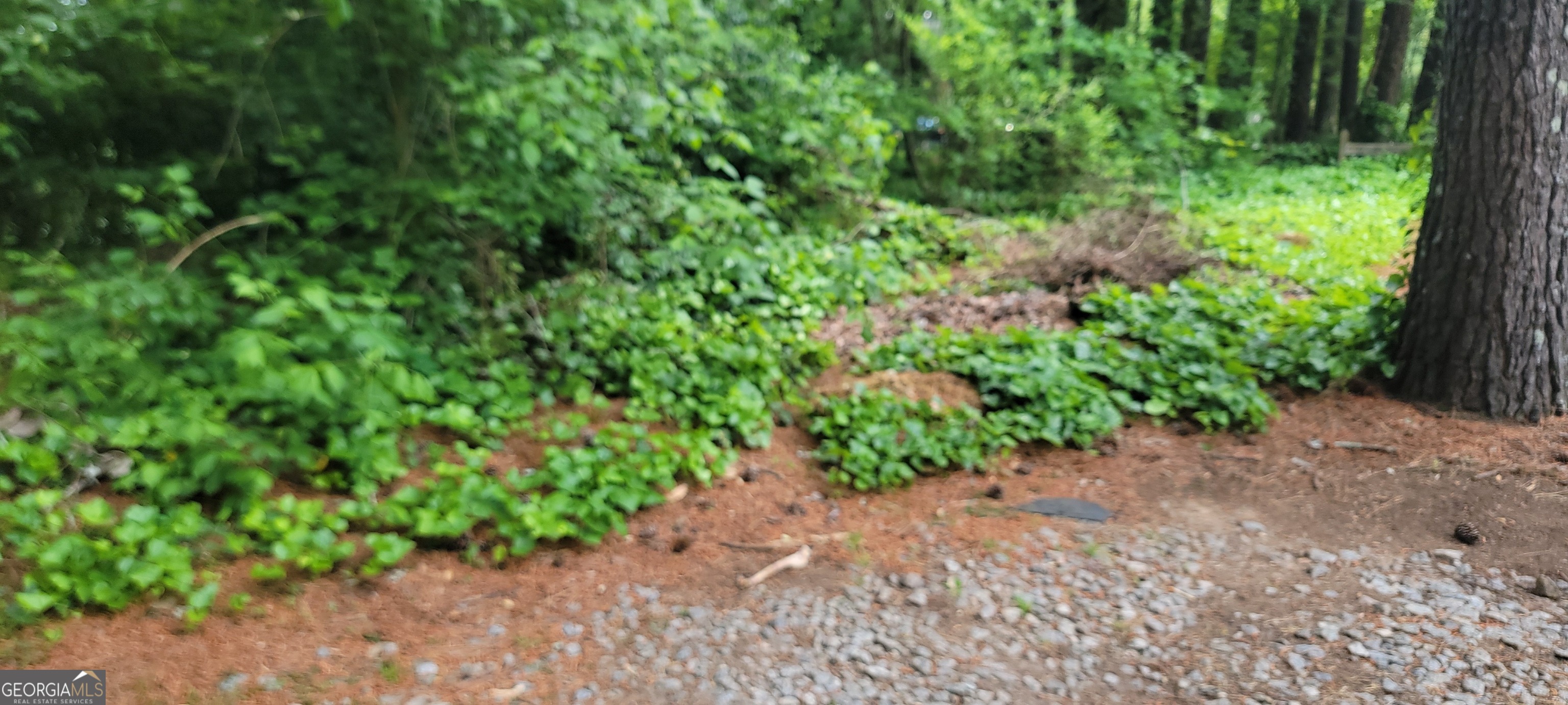 0 Lake Latimer DR