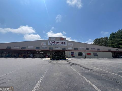 1839 Blue Ridge HWY Blairsville GA 30512
