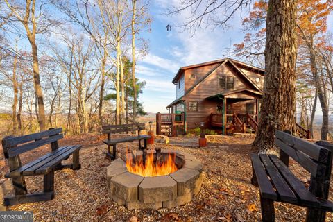 A home in Mineral Bluff