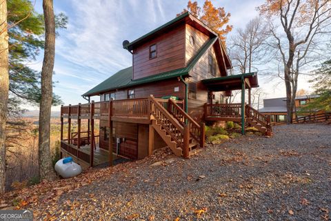 A home in Mineral Bluff