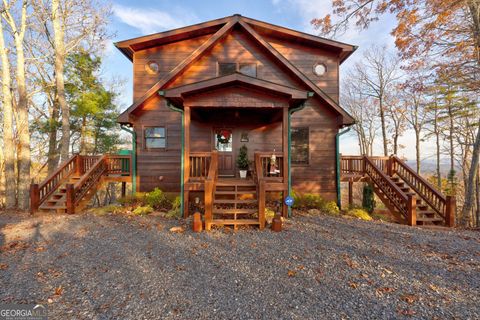 A home in Mineral Bluff