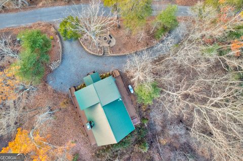 A home in Mineral Bluff