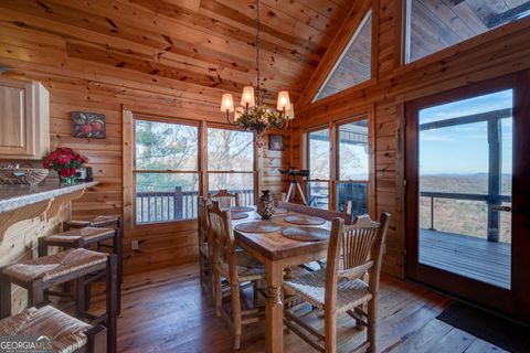 A home in Mineral Bluff