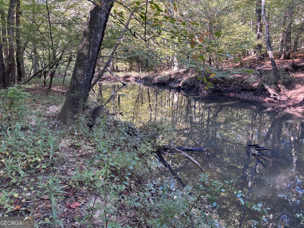 Photo of 0 Jack Meadows, Douglasville, GA 30134 (MLS # 10875333)