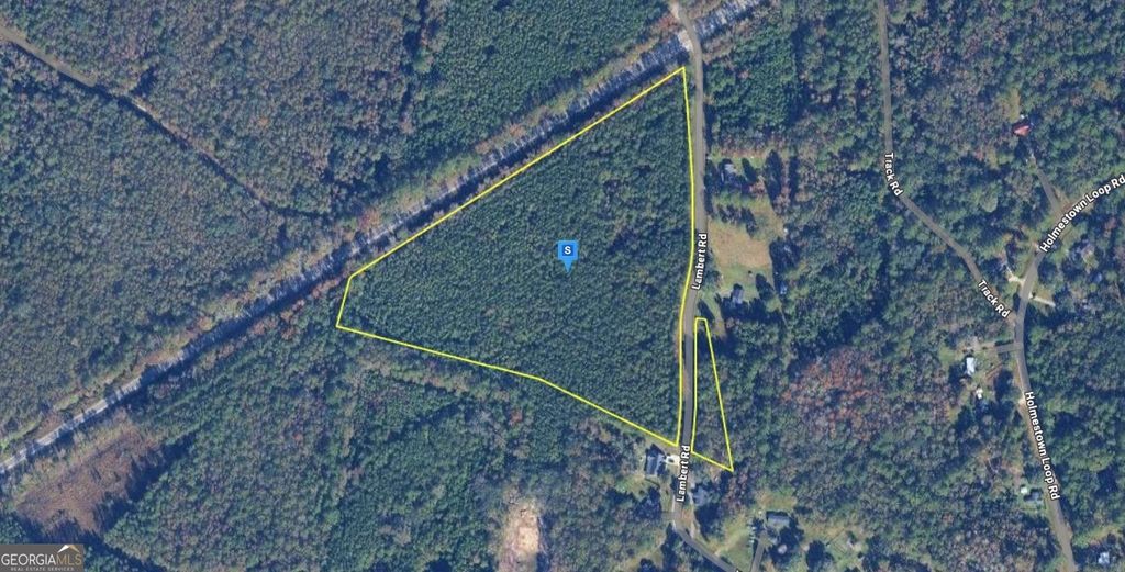 Photo of 423 Tobe Lambert Road, Midway, GA 31320 (MLS # 10673387)