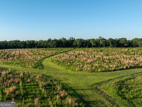 Photo of 6 Beulah Road Tract 6, Sylvania, GA 30467 (MLS # 10738741)
