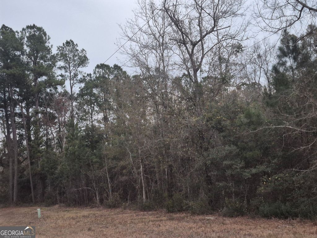 Photo of 5233 Burnt Fort Road, White Oak, GA 31568 (MLS # 10689241)