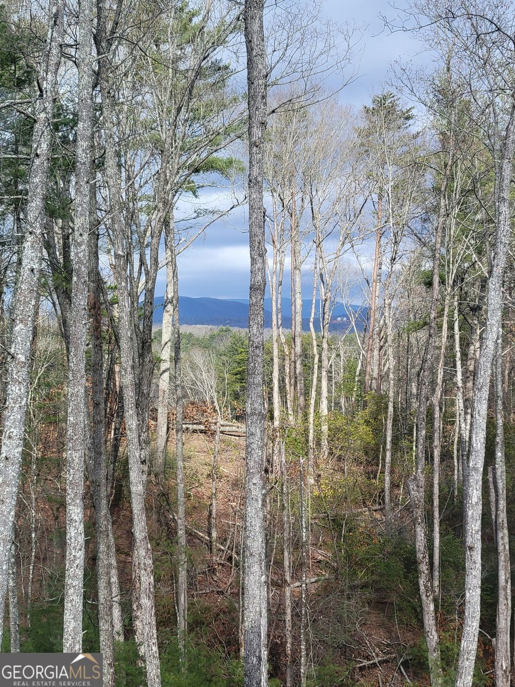 listing image 36