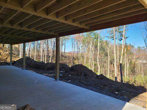 A home in Ellijay