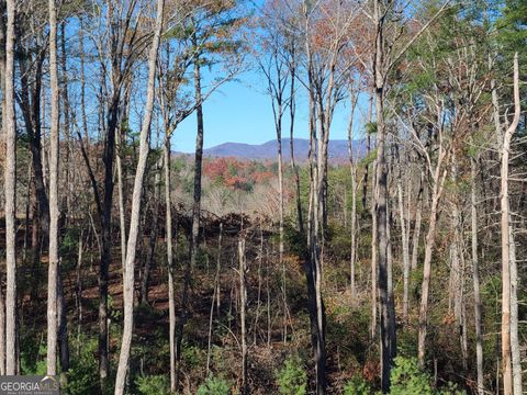 A home in Ellijay