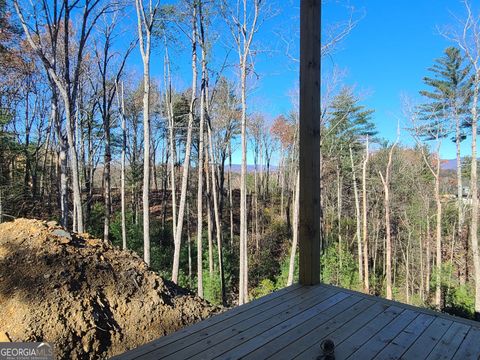 A home in Ellijay