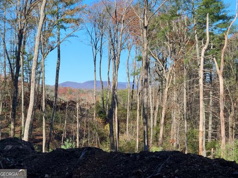 A home in Ellijay