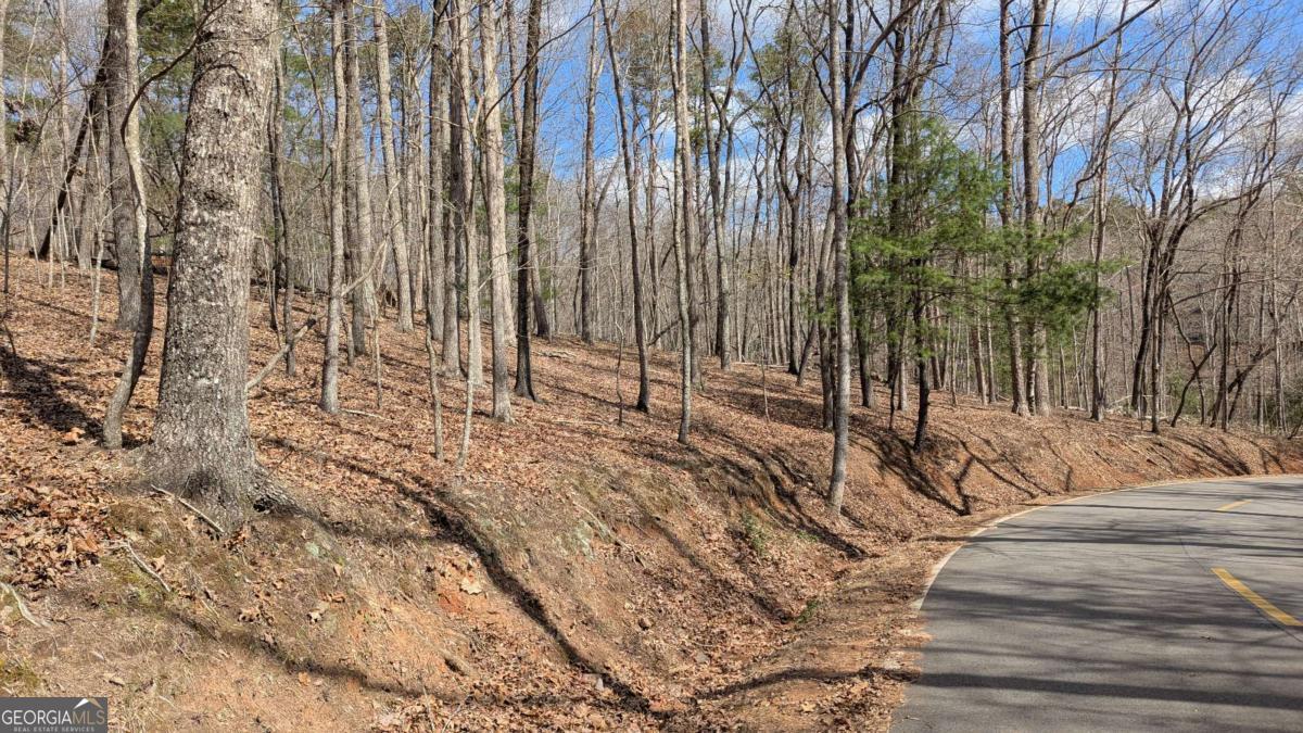 This beautiful lot on 1.13 acres in the highly sought-after Big Canoe community offers the perfect blend of natural beauty, luxury, and convenience. This lot features seasonal mountain views and is located within minutes of the Main Gate, making it easily accessible to you and your guests. Big Canoe is renowned for its incredible amenities, designed to suit every lifestyle. Enjoy three golf courses, a pristine lake for fishing and kayaking, boat rentals, a beach club, multiple swimming pools, pickleball courts, and miles of scenic trails for hiking and exploring. Indulge in the community's dining options at its on-site restaurants or take advantage of the numerous social clubs and activities available. This gated community also offers the peace of mind that comes with a 24/7 security gate, a dedicated fire station, and more. You'll find everything you need right at your fingertips, creating a perfect environment for both relaxation and recreation. Don't miss this rare opportunity to build your dream home in the Big Canoe community, where natural beauty and exceptional amenities come together to offer an unmatched living experience. Level 3 Soil test has been completed.
