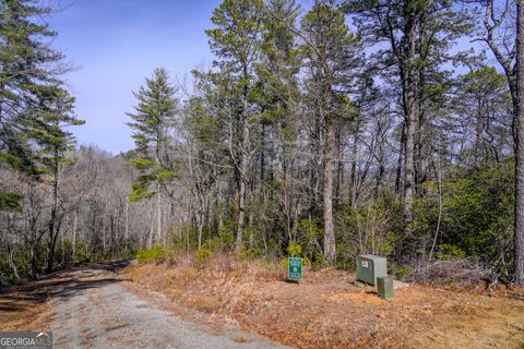 0 Ivy Ridge WAY LOT 39 Clarkesville GA 30523