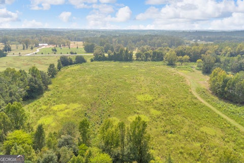 Photo of 0 Wesley Chapel Road, Greensboro, GA 30642 (MLS # 10847610)