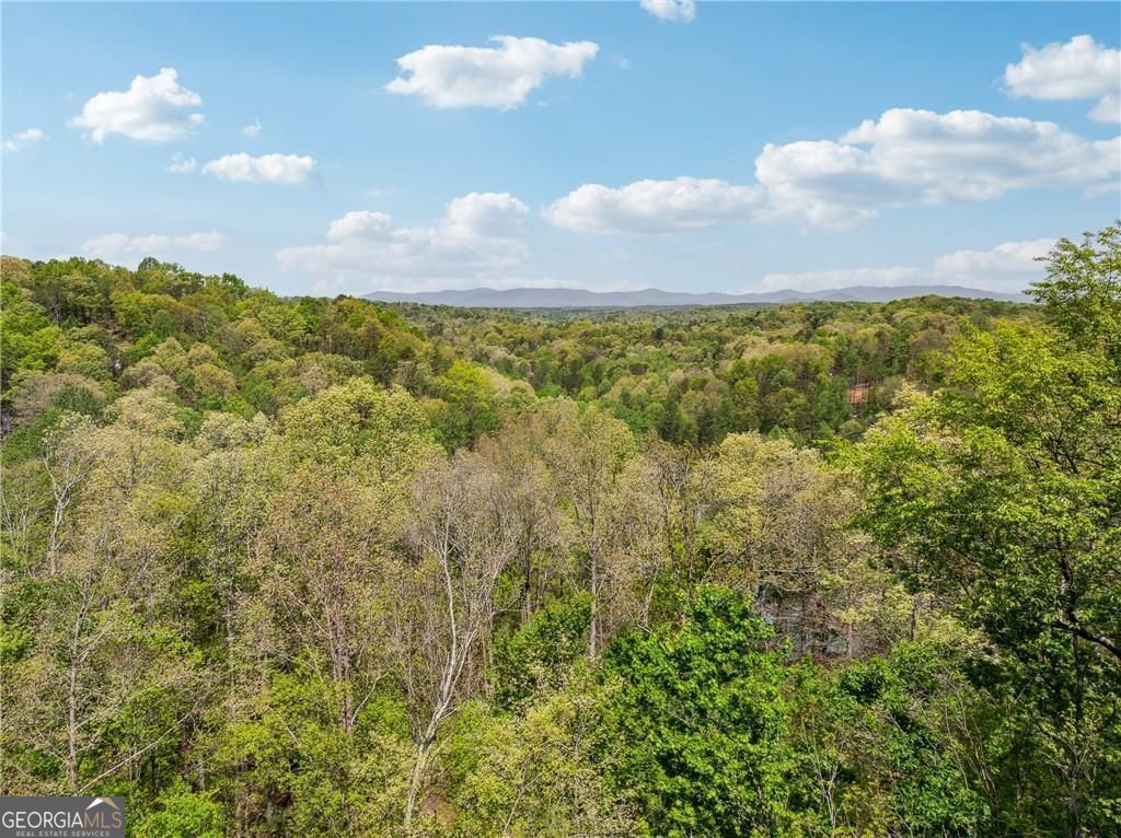 Ellijay, Georgia 30540, United States, 3 Bedrooms Bedrooms, ,2 BathroomsBathrooms,Residential,Pending,115289