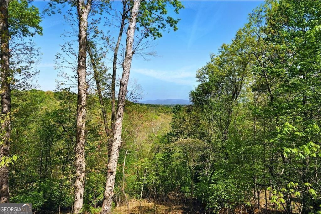 Ellijay, Georgia 30540, United States, 3 Bedrooms Bedrooms, ,2 BathroomsBathrooms,Residential,Pending,115289