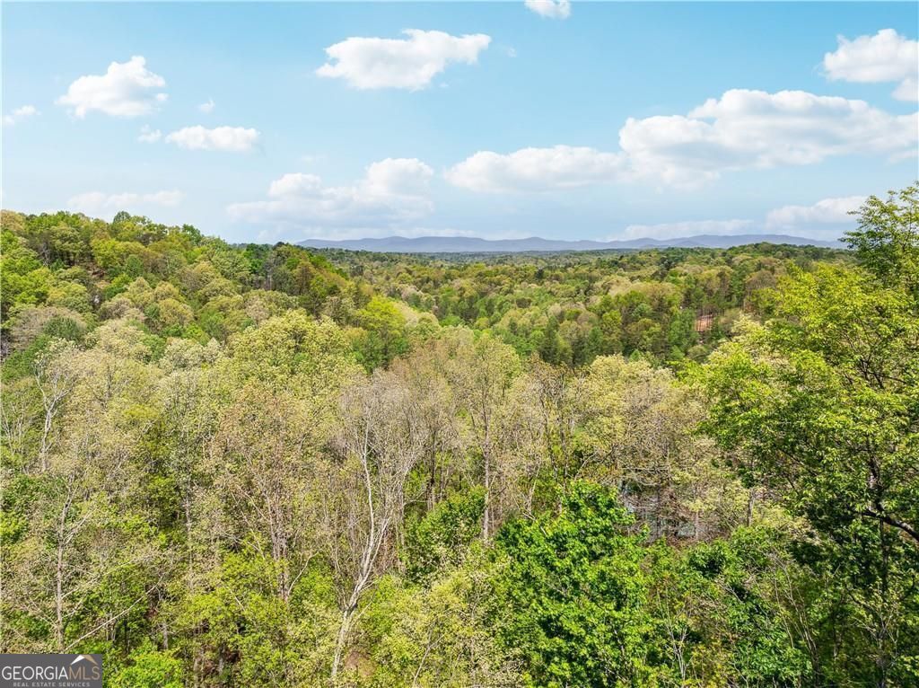 Ellijay, Georgia 30540, United States, 3 Bedrooms Bedrooms, ,2 BathroomsBathrooms,Residential,Pending,115289