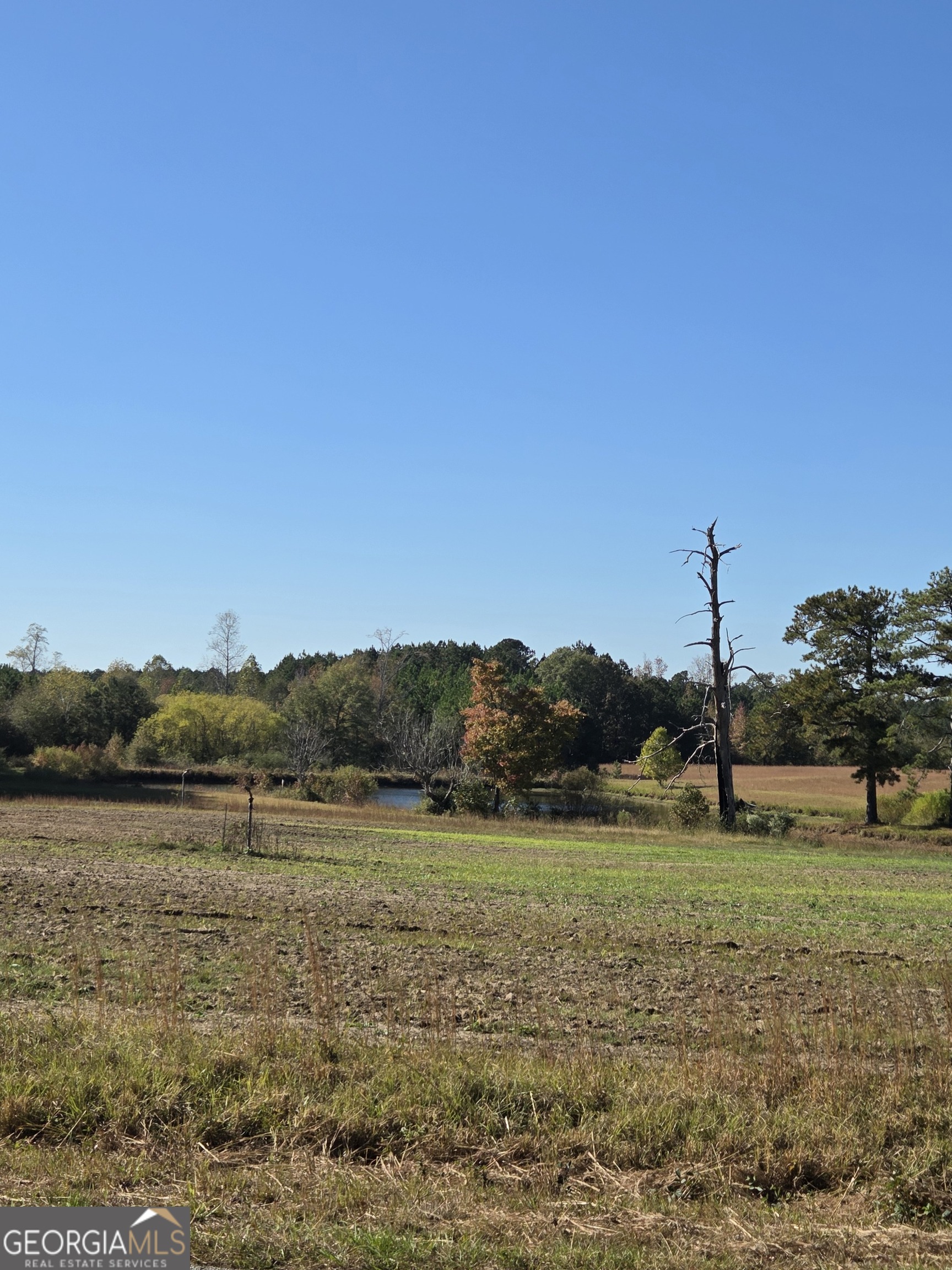 50 AC Mount Carmel RD