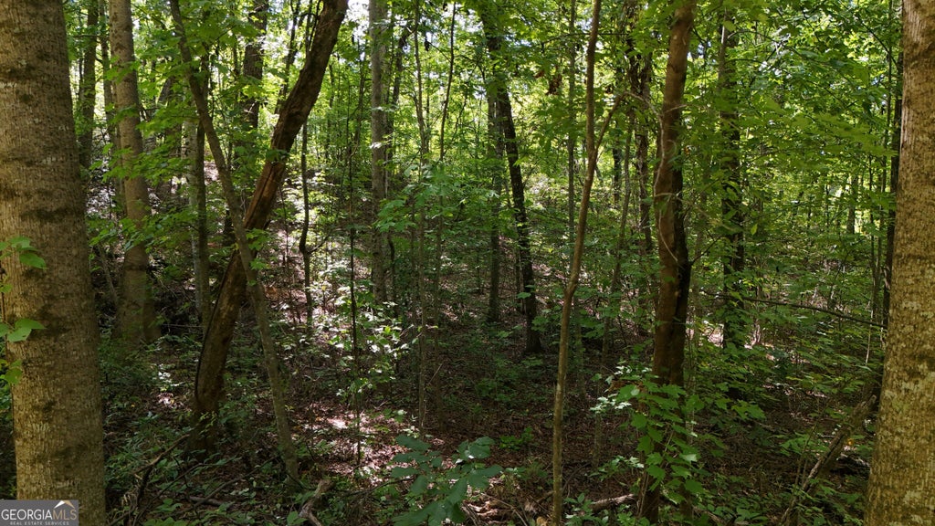 Photo of 195 Fern Valley Trail, Clarkesville, GA 30523 (MLS # 10841498)