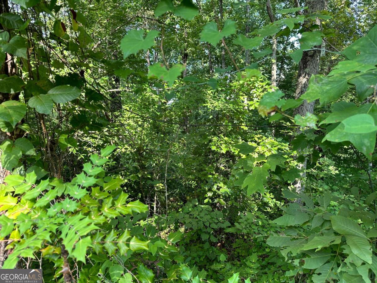 Come and build your dream home in well established neighborhood. No HOA. Utilities available to include sewer. Walking distance to the town square, shops and eateries. Ride your bike to the Silver Comet Trail.