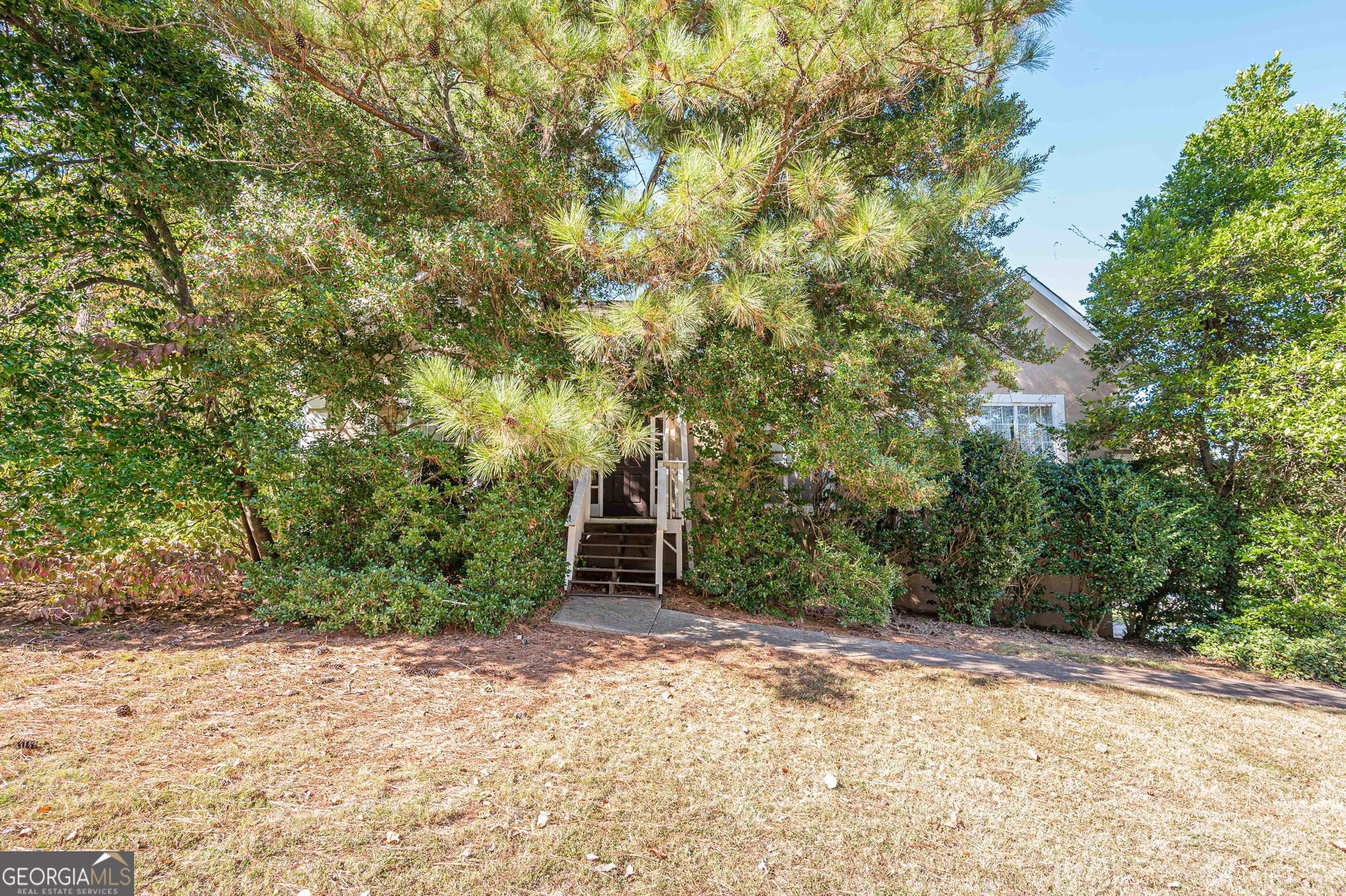 4004 Cinnamon Fern LN