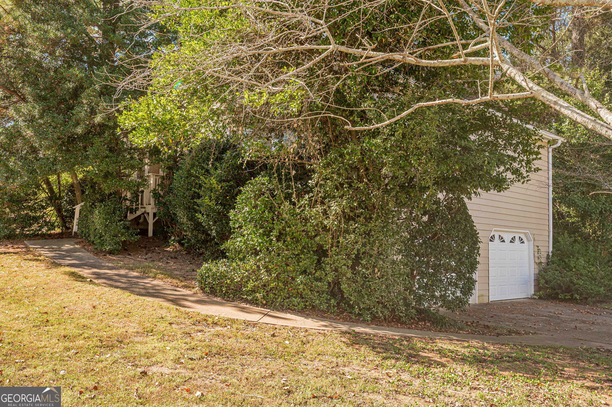 4004 Cinnamon Fern LN