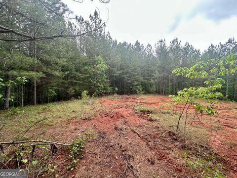 5.3-/+ Patriot Dahlonega GA 30533
