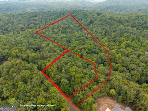 Photo of 0 Abbott Mill Road, Ellijay, GA 30540 (MLS # 10872715)