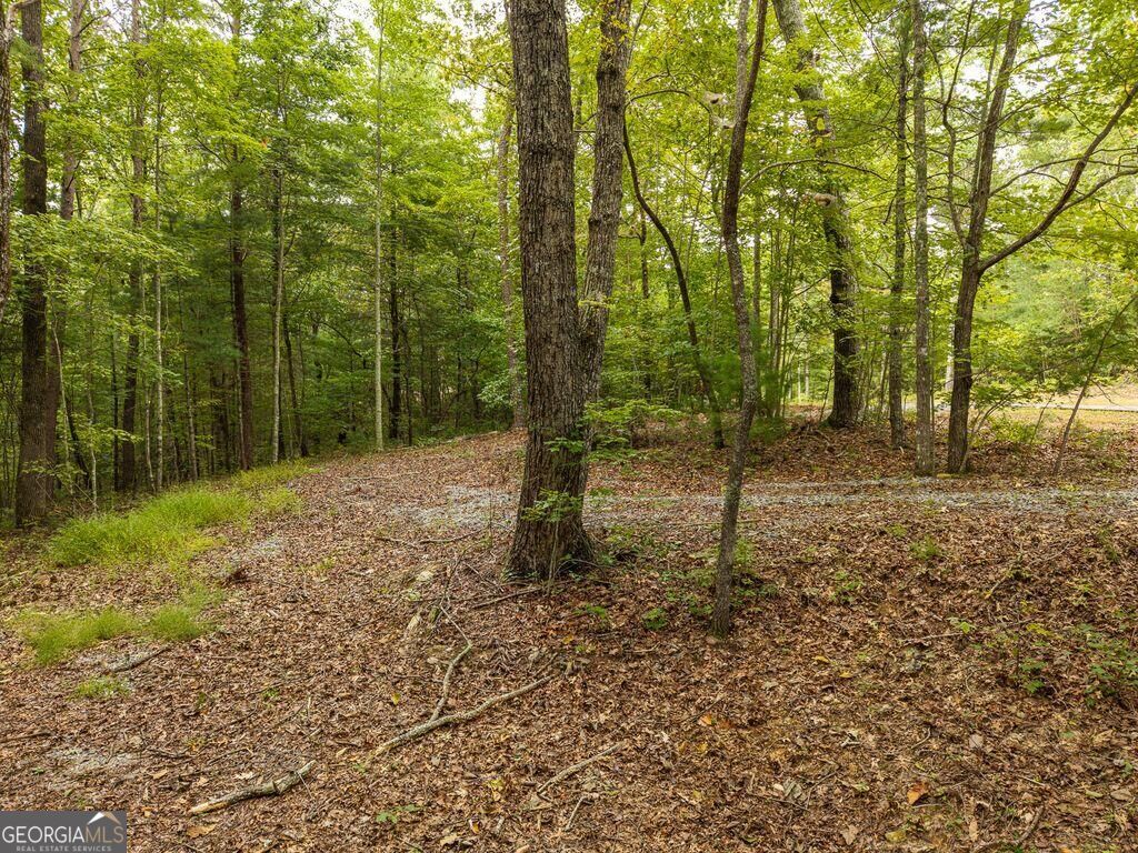 0 Abbott Mill RD