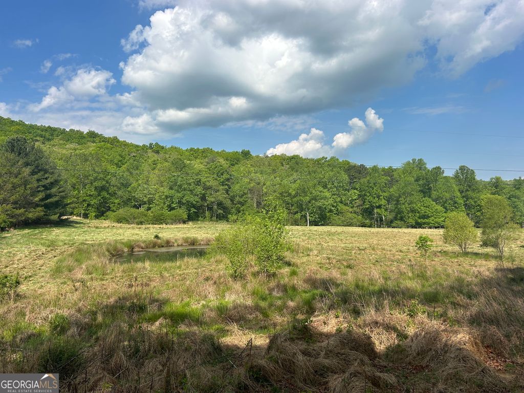 Photo of 10 Pleasant Valley Lane, Blairsville, GA 30512 (MLS # 10741921)