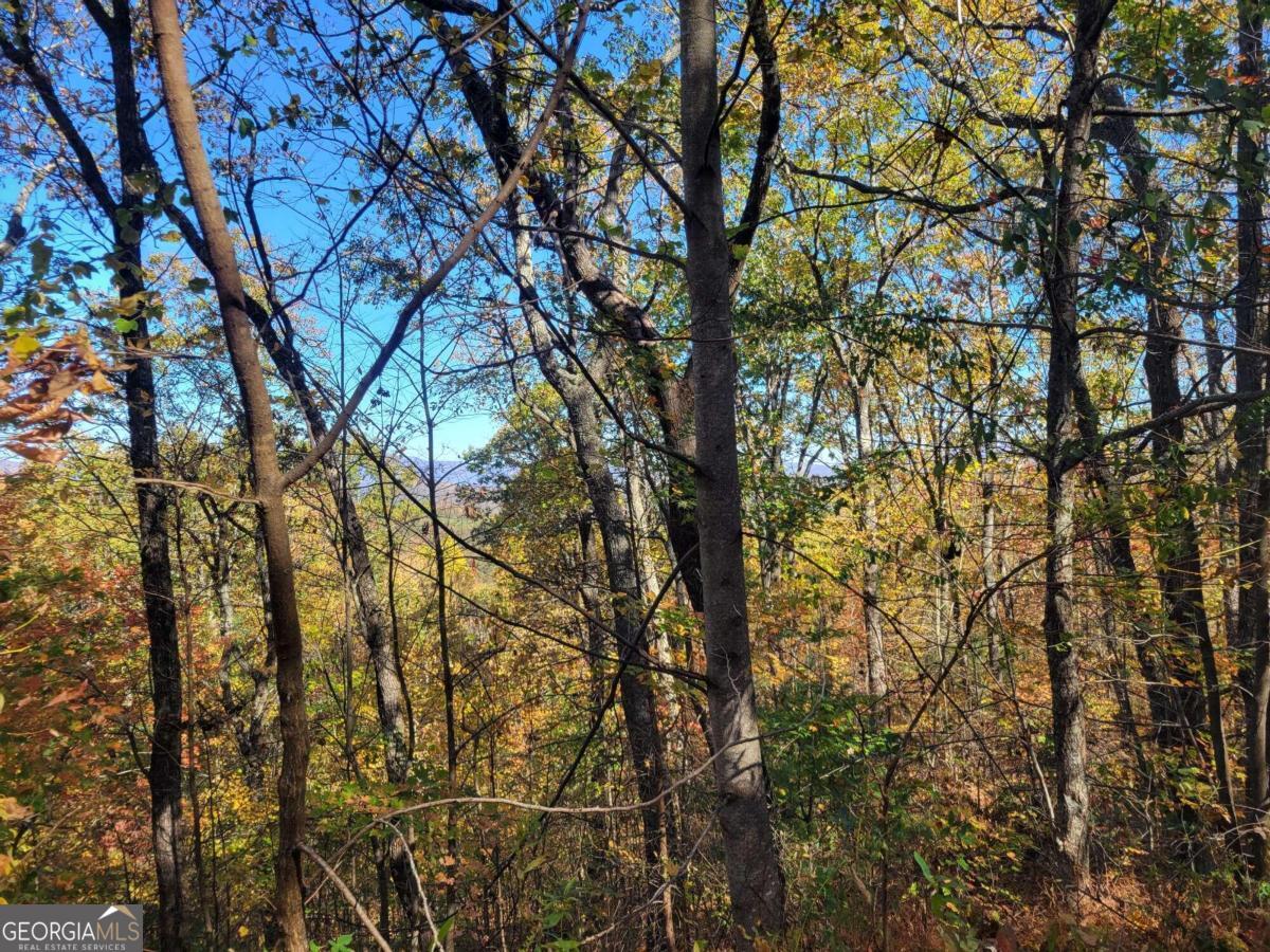 14 AC Old Burnt MTN