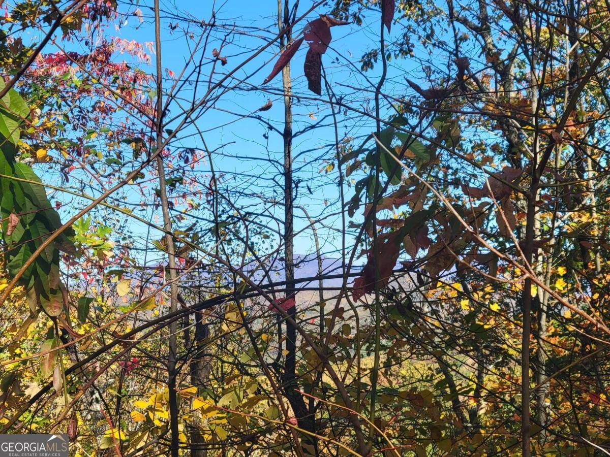 14 AC Old Burnt MTN