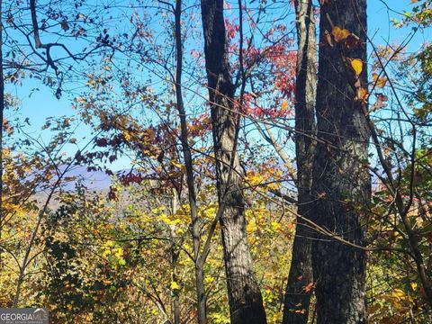 14 AC Old Burnt MTN Ellijay GA 30540