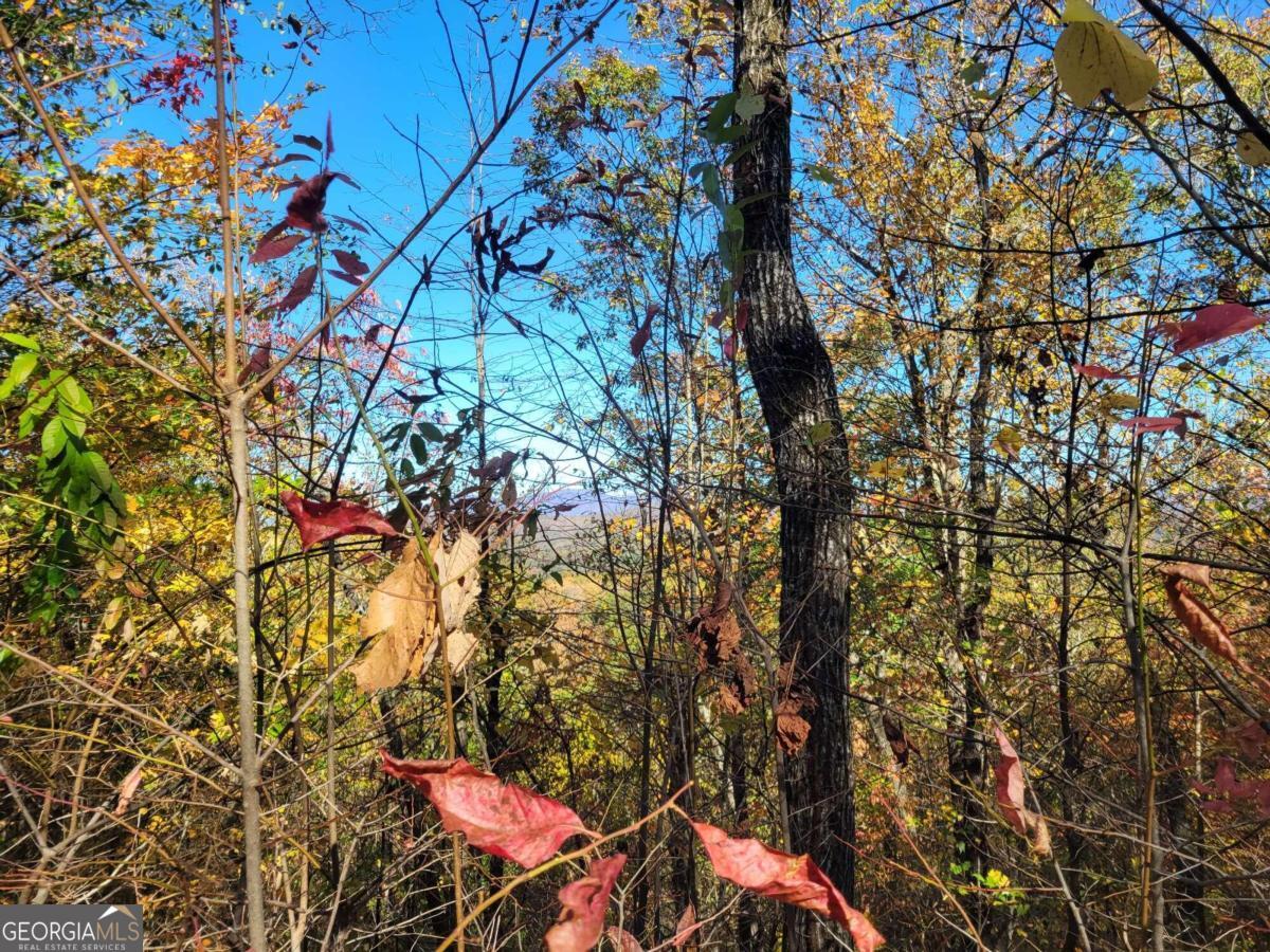 14 AC Old Burnt MTN
