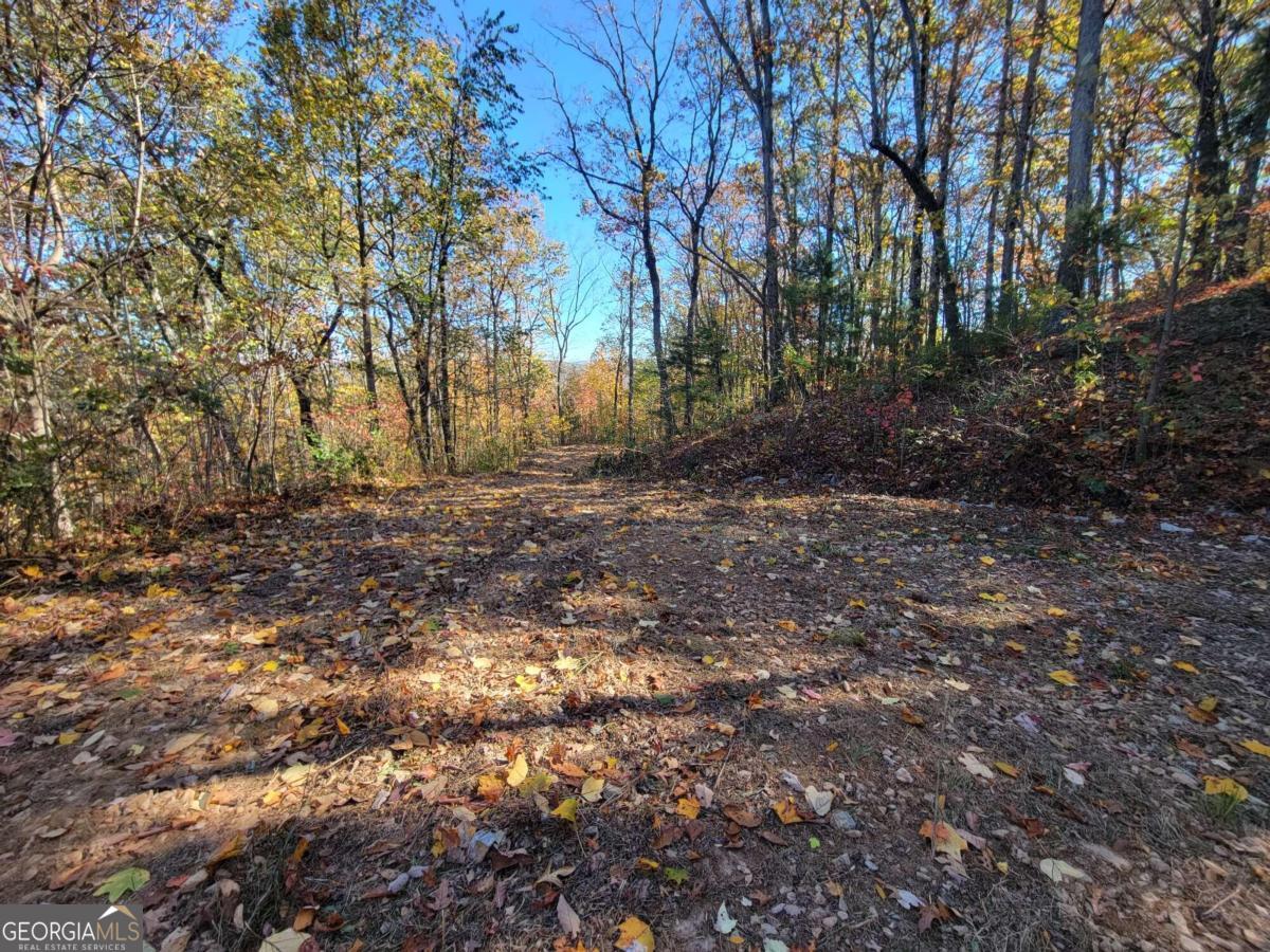 14 AC Old Burnt MTN