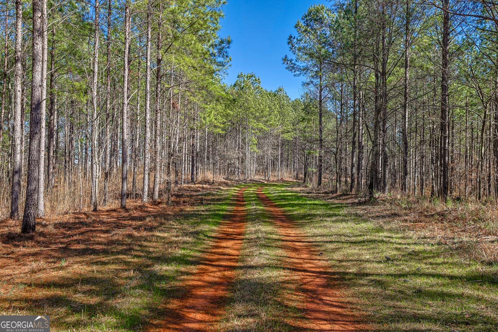 Photo of 12 Old Zebulon Road, Forsyth, GA 31029 (MLS # 10825987)