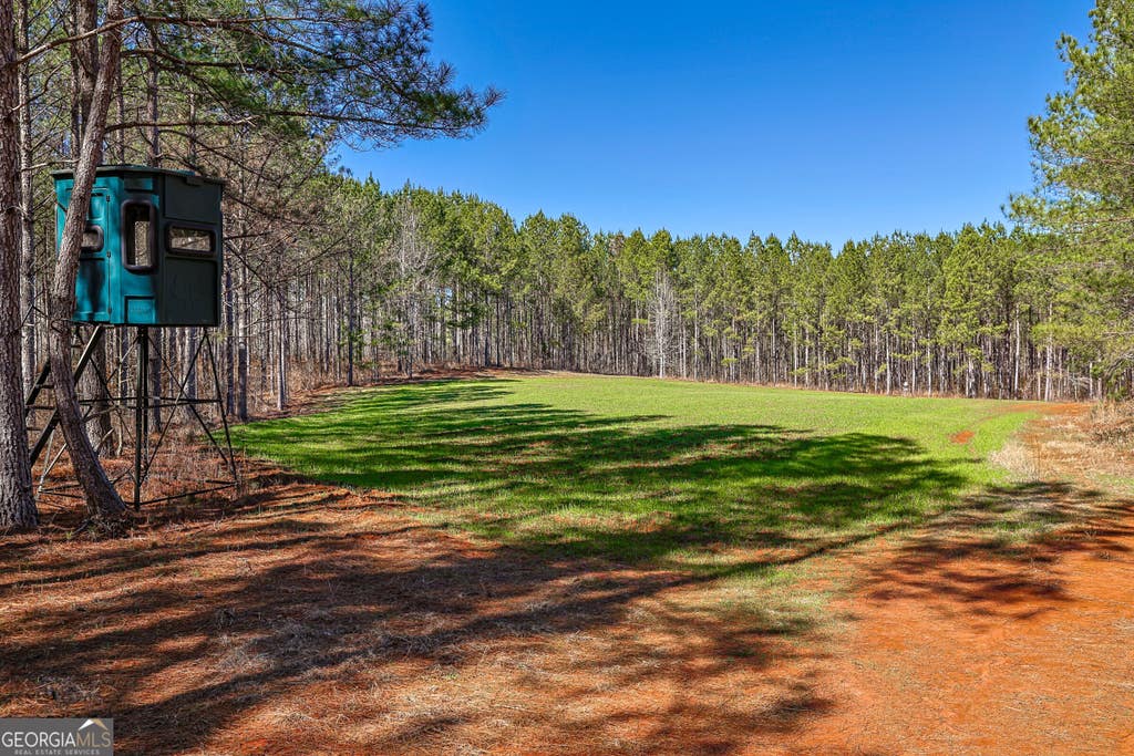 Photo of 12 Old Zebulon Road, Forsyth, GA 31029 (MLS # 10825987)
